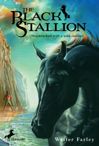 Black Stallion - Product Image